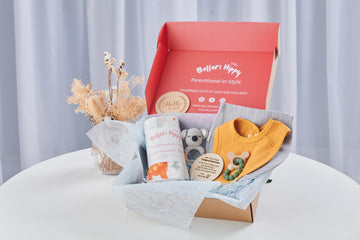 Baby Boy Gift Set (Dino-Koala-Premium)